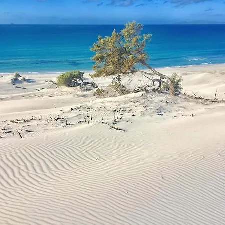 Case Vacanze Il Sogno 2 Porto Pino Exterior foto
